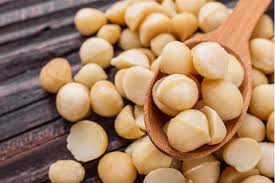 Raw Macadamia Nut 400gm